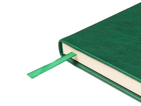 Ежедневник недатированный А5 «Premier»