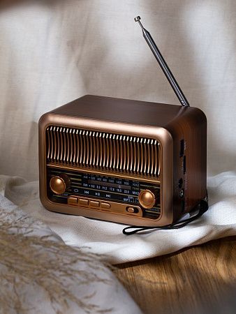 Bluetooth-колонка с радио Beatnik, коричневая