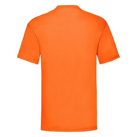 Футболка мужская VALUEWEIGHT T 165