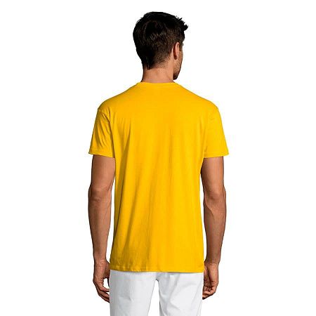 Футболка мужская REGENT150