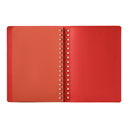 Ежедневник Виста (Vista) недатированный, оранжевый/коричневый