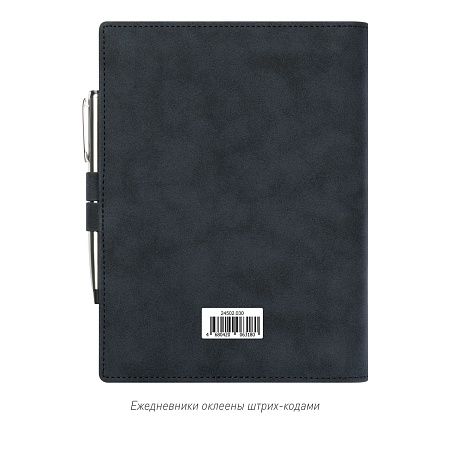 Ежедневник-портфолио Клип (Clip NEO) недатированный в подарочной коробке, черный (в комплекте ручка Tesoro серебро)
