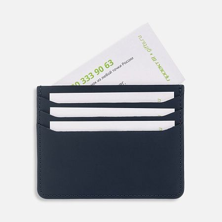 Чехол для карт Alaska, синий