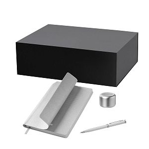 Подарочный набор Пэшн, Молто (Passion, Molto), серебряный (колонка, ежедневник, ручка)