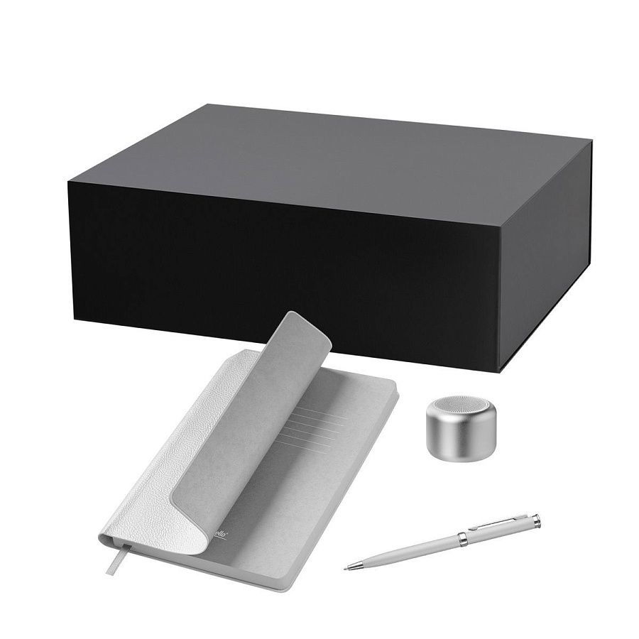 Подарочный набор Пэшн, Молто (Passion, Molto), серебряный (колонка, ежедневник, ручка)