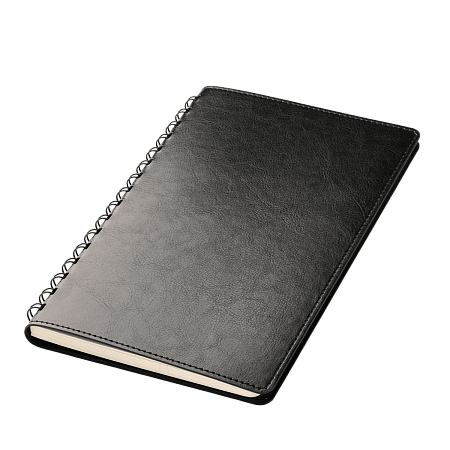 Ежедневник Виста Нео (Vista Neo) недатированный, черный