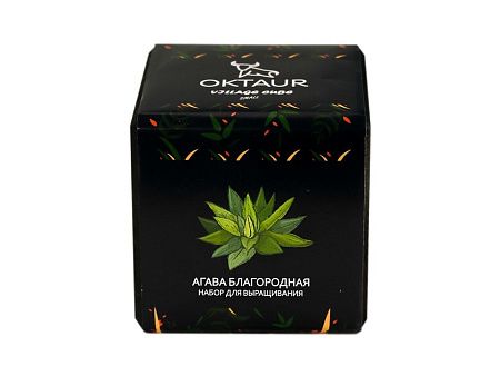 Набор для выращивания «Small village cube «Агава Благородная»