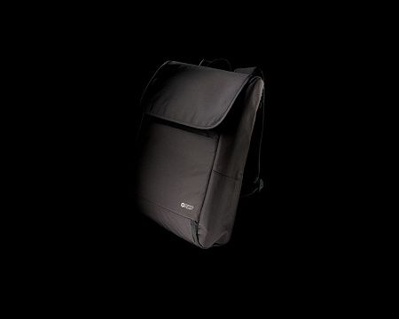 Рюкзак для ноутбука Swiss Peak Fern из rPET AWARE™, 15,6’’