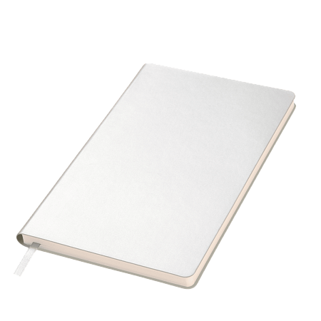 Ежедневник Спарк (Spark) недатированный, серебряный (без упаковки, без стикера)