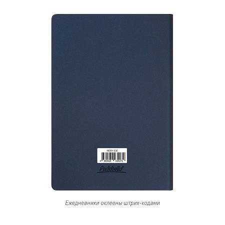 Ежедневник Стар (Star) недатированный, синий (с упаковкой, со стикерами)