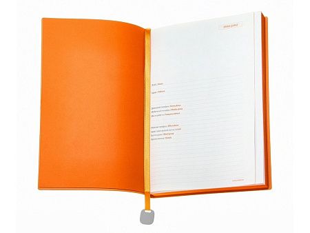 Ежедневник недатированный А5 «Mercury»