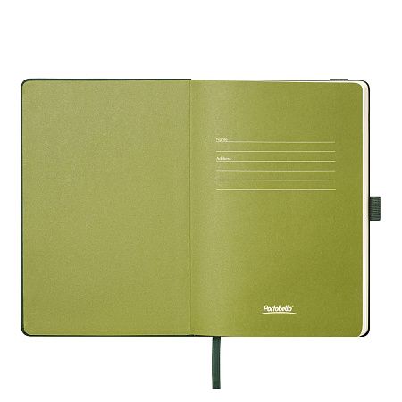 Ежедневник Альфа (Alpha) недатированный, зеленый/оливковый