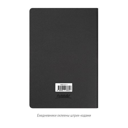 Ежедневник Стар (Star) недатированный, черный (без упаковки, без стикера)