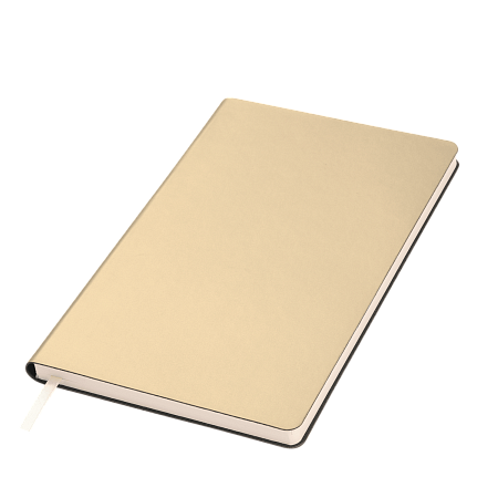 Ежедневник Спарк (Spark) недатированный, белое золото (без упаковки, без стикера)