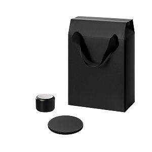 Подарочный набор Пэшн, Аурис (Passion, Auris), черный (колонка, зарядное устройство)