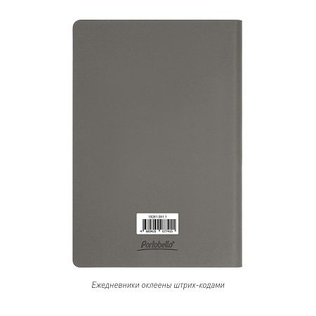 Ежедневник Стар (Star) недатированный, серый (без упаковки, без стикера)