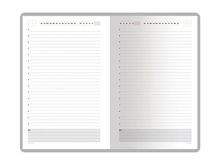 Ежедневник недатированный А5 «Mercury»