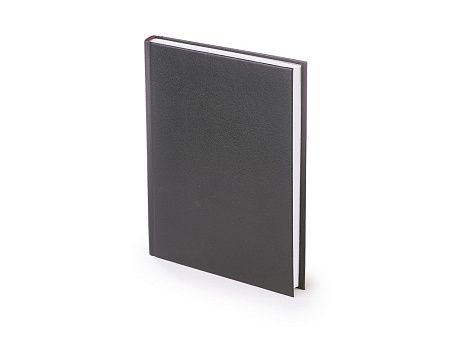 Ежедневник датированный А5 «Ideal New» на 2026 год