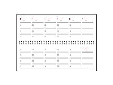 Планинг датированный «Бумвинил» на 2025 год