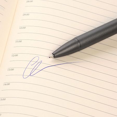 Шариковая ручка АйПи Хамелеон (IP Chameleon), красная