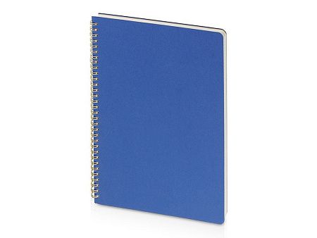 Бизнес-тетрадь А4 "Pragmatic"