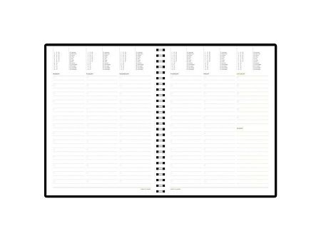 Ежедневник недатированный B5 «Tintoretto New»