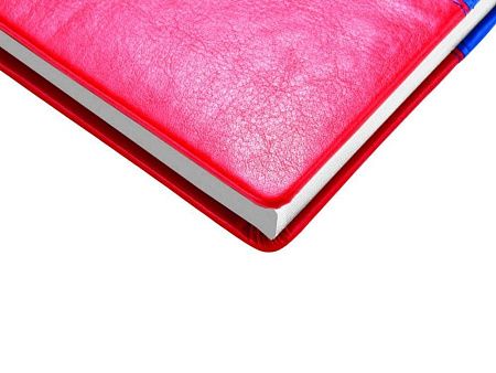 Ежедневник недатированный А5+ «Россия. Флаг»