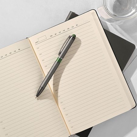 Шариковая ручка АйПи Хамелеон (IP Chameleon), красная