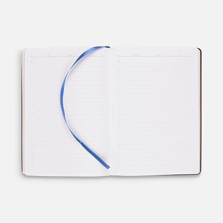 Ежедневник Nebraska Flex, недатированный, синий с золотистым