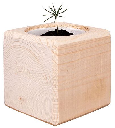 Подарочный набор "Куб": светильник, эко-куб, кубик рубика