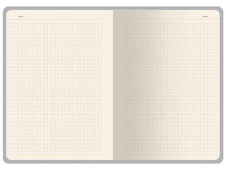 Бизнес-тетрадь А5 «Pragmatic Contrast»