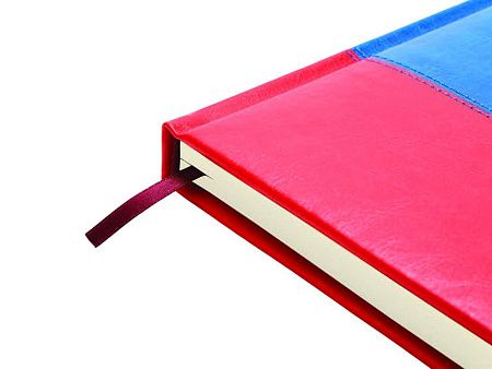 Ежедневник недатированный А5+ «Россия. Флаг»