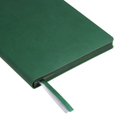 Ежедневник Рейн (Rain) недатированный, зеленый (без упаковки, без стикера)