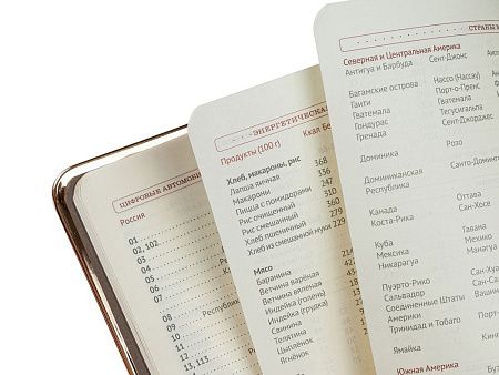 Ежедневник недатированный А5 «Chelsea»