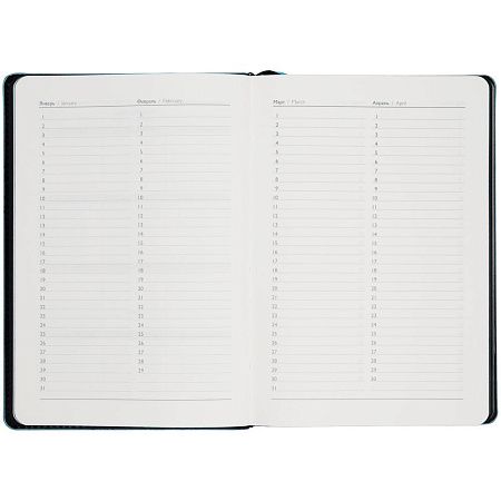 Ежедневник Alanis, недатированный, черный с голубым