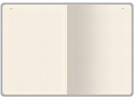 Бизнес тетрадь А5 «Pragmatic»