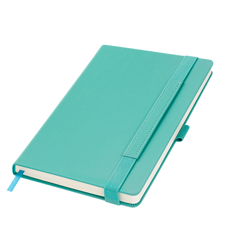 Ежедневник Альфа (Alpha) недатированный, серый/бирюзовый