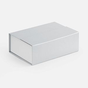 Коробка Bicolor Case, белая с серым