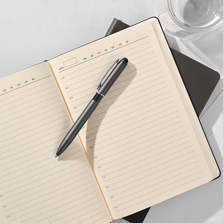 Шариковая ручка АйПи Хамелеон (IP Chameleon), черная