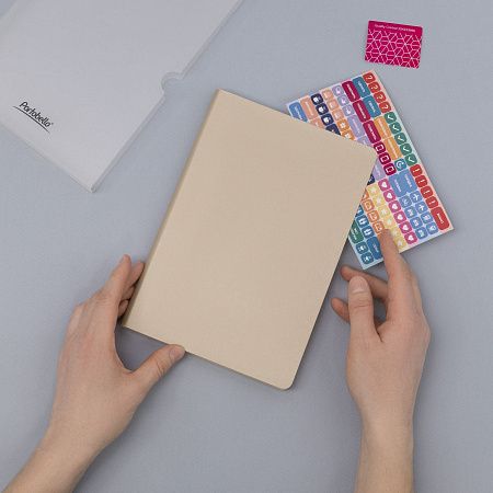 Ежедневник Спарк (Spark) недатированный, белое золото (с упаковкой, со стикерами)