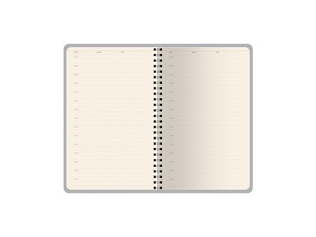 Ежедневник недатированный А5 «Alba»