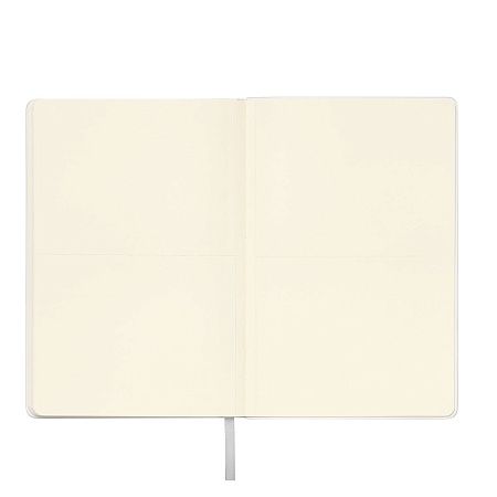 Ежедневник Спарк (Spark) недатированный, серебряный (без упаковки, без стикера)