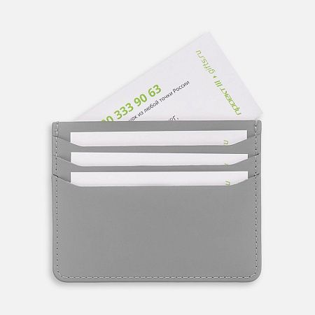 Чехол для карт Alaska, серый