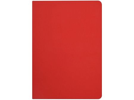 Бизнес-тетрадь А5 «Pragmatic Contrast»