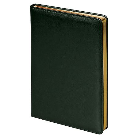 Набор подарочный Solution Duo (ежедневник, ручка), зелёный