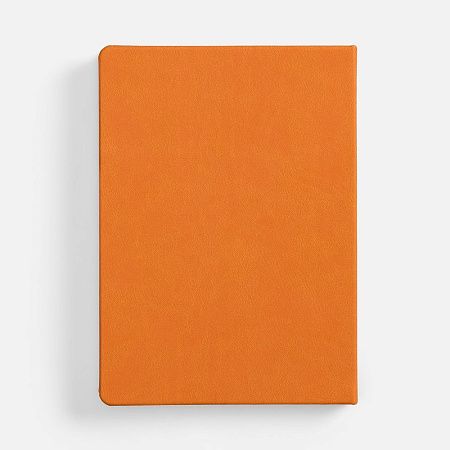 Ежедневник Basis, датированный, оранжевый