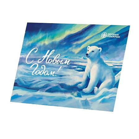 Подарочный набор "Мишка на севере" с брендированием