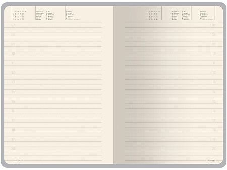Ежедневник недатированный А5 «Megapolis Nebraska»