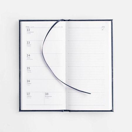 Еженедельник Baza, датированный, синий