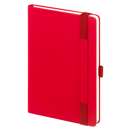 Ежедневник Альфа (Alpha) недатированный, красный/серый